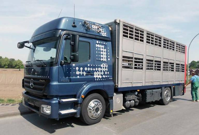 Транспортировка теленок дешево из Краснодара в Новосибирск